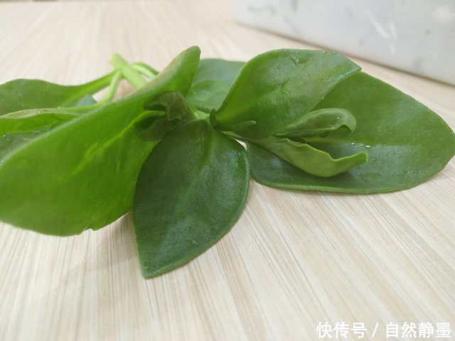 田七是常见的一种植物,河南农村妈妈告诉你,吃田七叶的好处