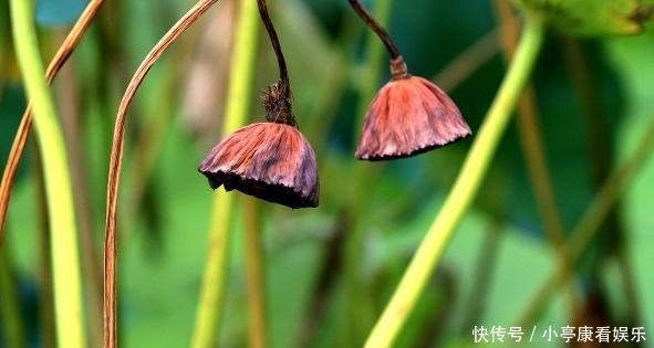 诚信|人到中年,遇到这三种人,记得深交