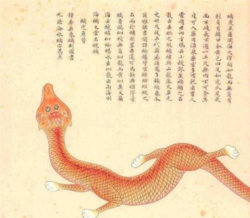 聂璜|故宫有本清朝画册,画了300种生物,唯独这条美人鱼让专家很激动