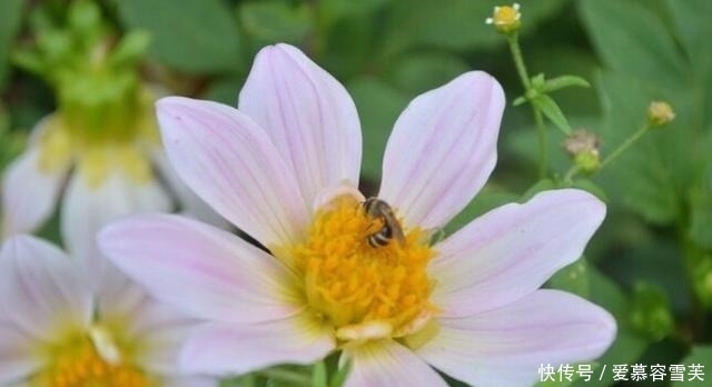 男朋友|带有钱的男朋友来见父母,他们很开心,他走后父母让我跟他分手