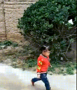 理解|搞笑GIF:这种痛,只有男人才能理解