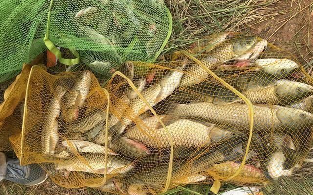 方法|夏天下风口真的好钓鱼，只是要找对位置，还要用对方法