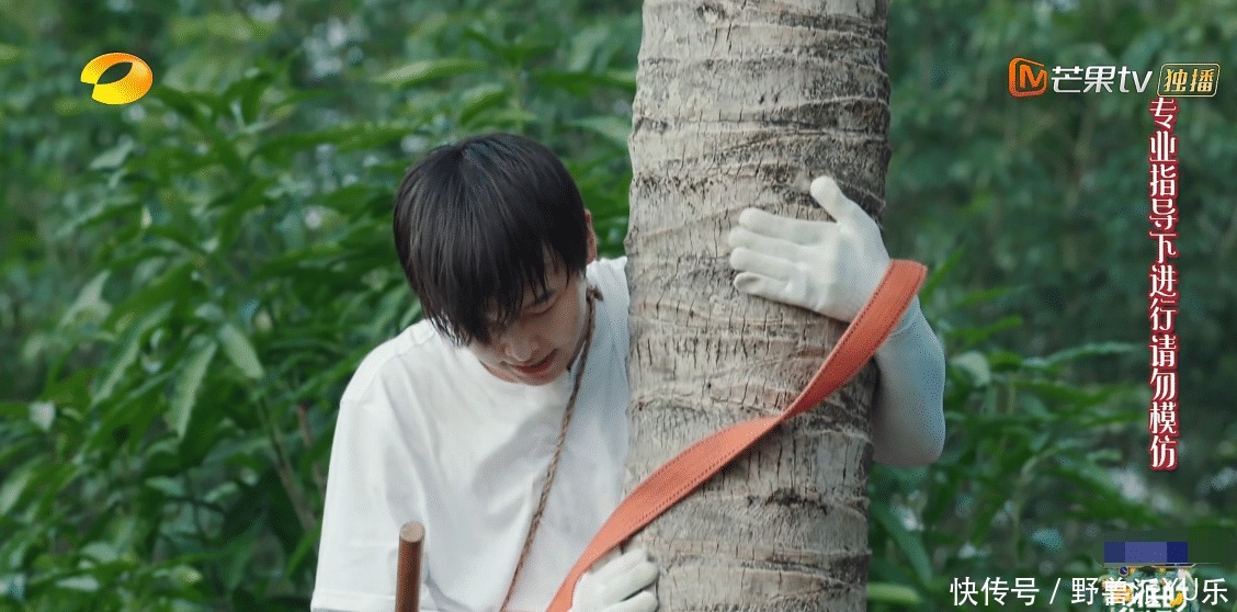 彭昱畅|节目四十度高温,黄磊何炅不想干活,彭昱畅冒险摘椰子背负了太多