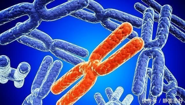 生男孩|为什么有的女性生不了男孩子满足你的好奇心,别害羞,不妨一看