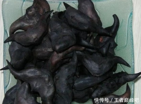 吃起来|看一眼觉得恶心,尝过后欲罢不能的水果,吃货也只能接受前3种!