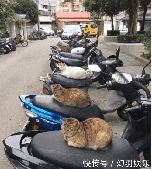 造作|笑死我了,大家看一下我的腿美嗎,來呀造作呀,反正有大把時光,