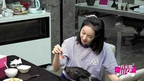 盘点|盘点2020年4月热播的七大综艺节目,你最喜欢哪个?