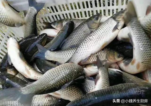 放置很久|买鱼时,遇到这五种鱼转身就走,浪费钱还不健康,内行人从来不买