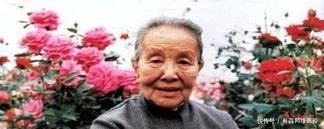 林徽因|冰心为何看不上林徽因?