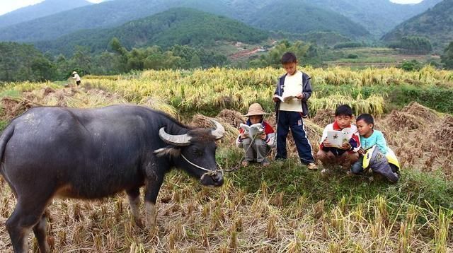 家庭|13岁男孩成5个孩子的爸爸，独自养活一家6口，男孩没办法