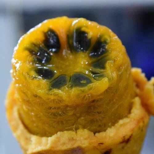 口感|野生八月瓜口感极佳,但品种不同口感也大不相同,看大叔怎么说