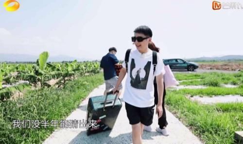 时间|《向往的生活》在蘑菇屋逗留时间最短的嘉宾,被吐槽就像“走过场”