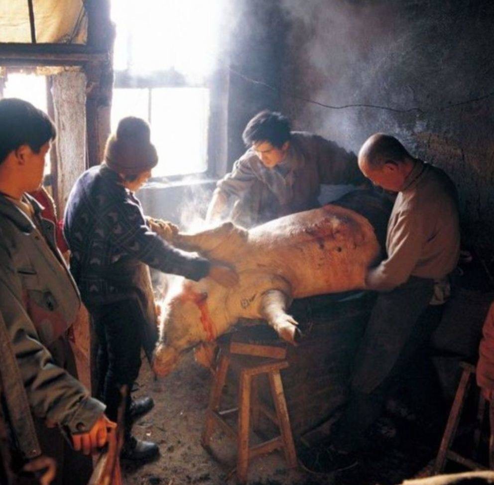  红薯|30年前冬天的老照片，看过的人都哭了，看懂的人都老了……