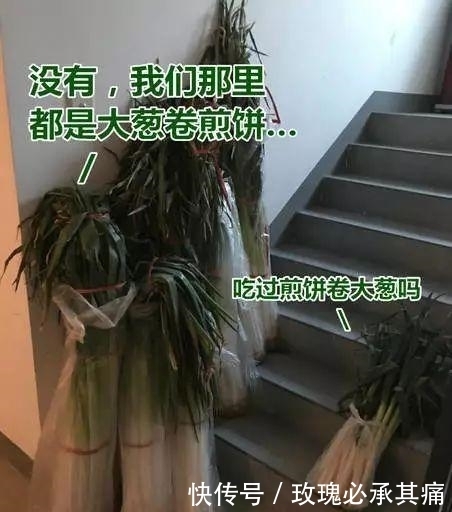 食物|南方人说: 北方的食物, 是世界上最大的骗子! ?