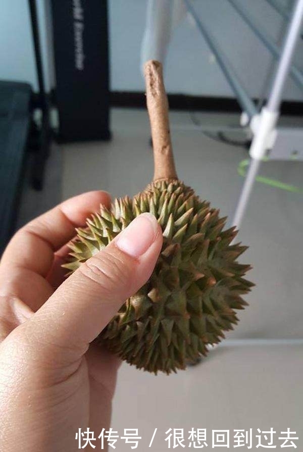 榴莲|在超市买回只有一只手掌大小的榴莲,剥开一看后,结果让人吃惊