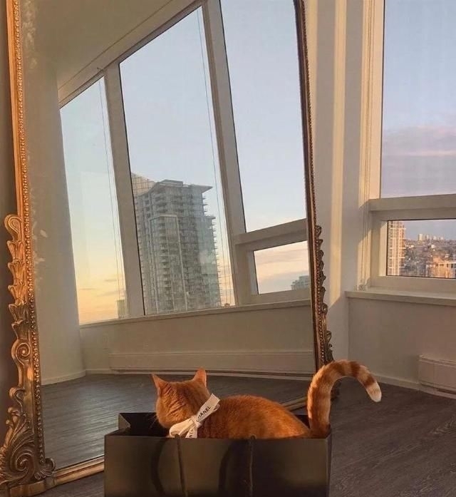 对镜|解锁对镜自拍技巧,分分钟在家拍出大片!