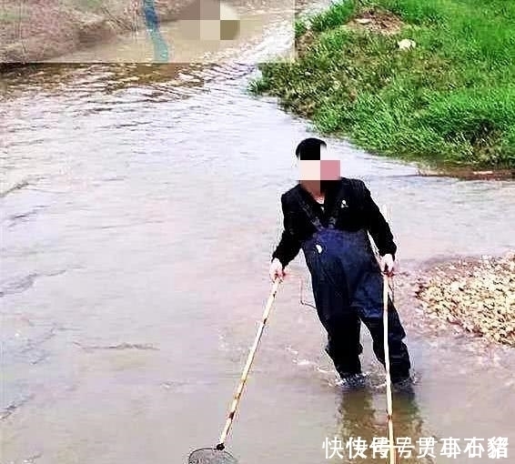 电死|电鱼电不死男子长江电死百斤大鱼，还发朋友圈炫耀，最后被抓