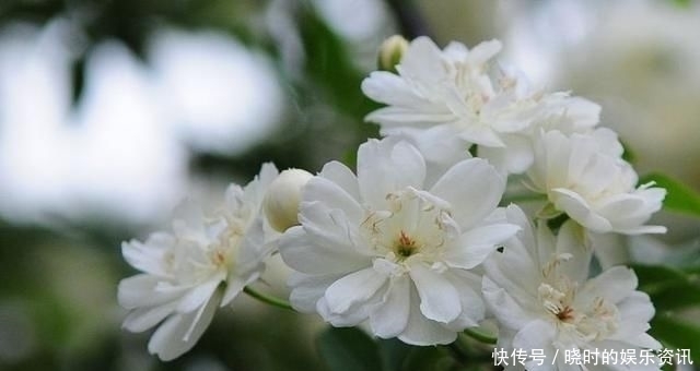 择一人深爱,等一人终老|诗词 | 深爱