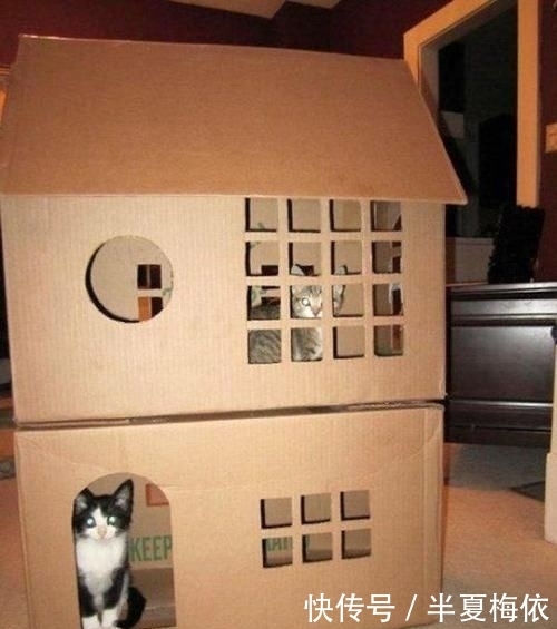 豪华|有才!外国网友用废纸箱,给喵星人打造豪华城堡