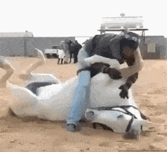 gif|搞笑gif趣图:上学时候的你:谁欺负我小弟了!出来!