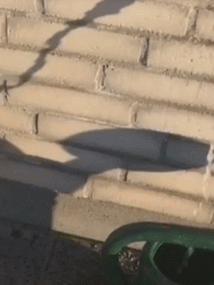  死神|搞笑GIF：与死神擦肩而过