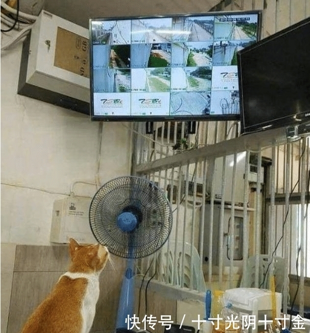  东西|“在厕所里发现了一个凳子一样的东西，这是干什么用的？”哈哈哈