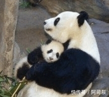  分手|开心一刻: 叔叔, 我和你儿子分手两个月了, 你别再送我东西!