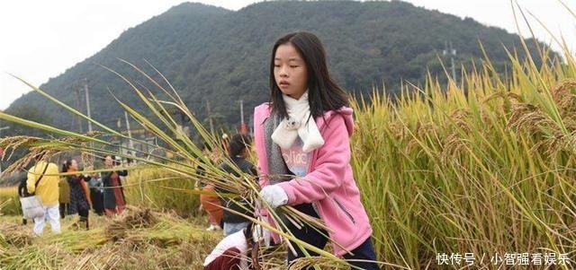 触碰|勤俭节约是良好美德，但3种“伪节俭”，是孩子不可触碰的高压线