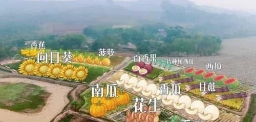 治愈|《向往的生活》第四季治愈来袭,“每一天,都要好好过”