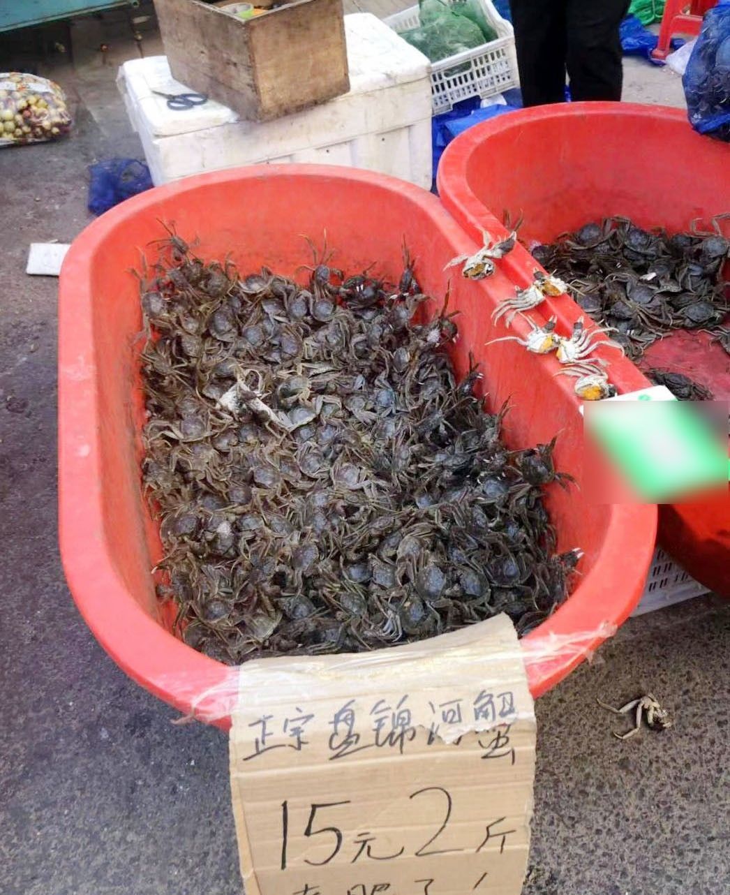 麻辣|满满的蟹黄蟹膏,教你在家做香辣蟹,个个麻辣鲜香,好吃到吮指