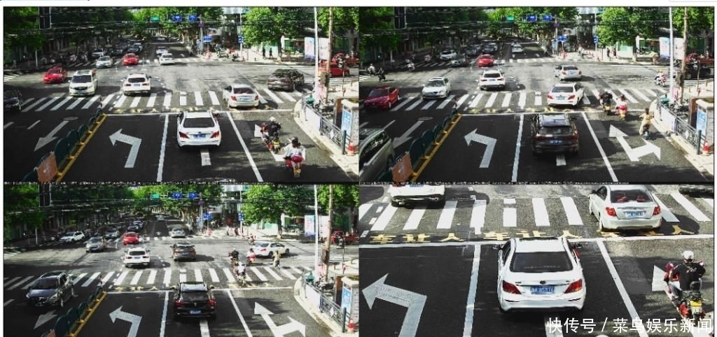 紫金|囿山路、紫金路、人民街、中山街……这些行为被曝光