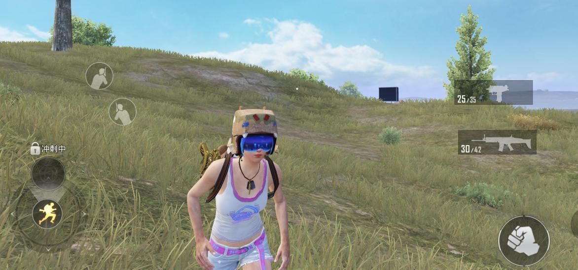 起码|“吃鸡”大哥撞到巡查员，账号被封十年，一看热力值起码充2万