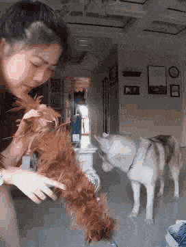  适合|搞笑GIF：这个车适合撩妹吗？