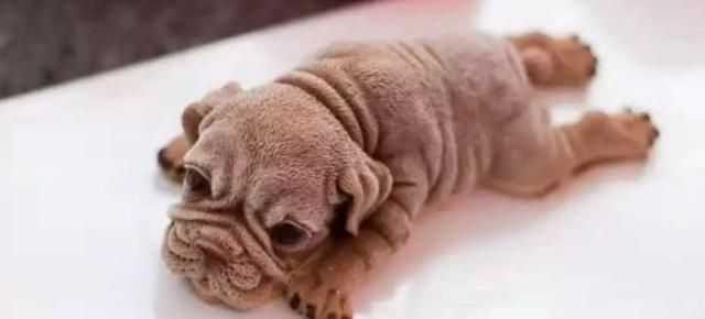 抹茶毛巾卷|5种曾经很火的零食,蓝色可乐上榜,图4大多数人都买过