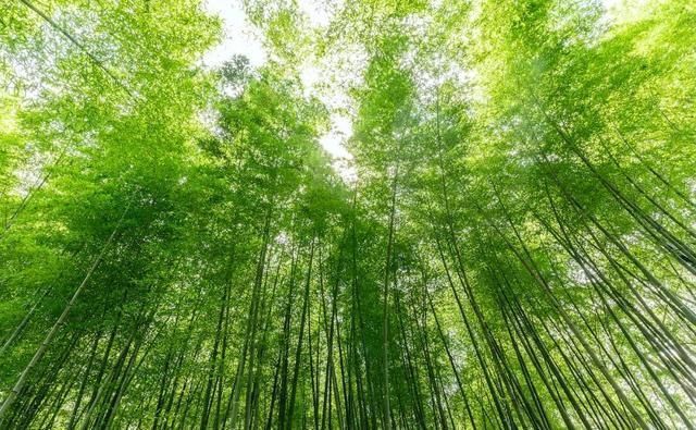 三暑|小暑，“上蒸下煮”，最热天气正在赶来“三暑”“三伏”究竟有啥联系