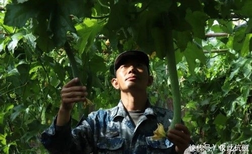 拼搏|“沙漠的脊梁”,你们拼搏的样子真帅!