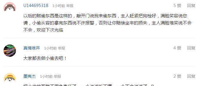  倒霉|小偷偷东西被狗咬, 住院花掉3万块, 谁来赔偿 狗主人要倒霉了!