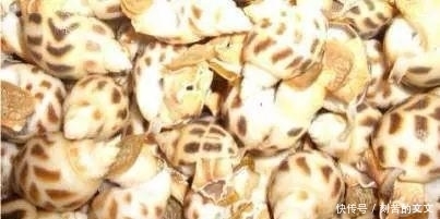  认出|海鲜大全, 你能认出多少