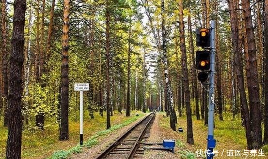 完蛋|俄罗斯和苏联的命脉是什么 为何斯大林说 没有它苏联要完蛋