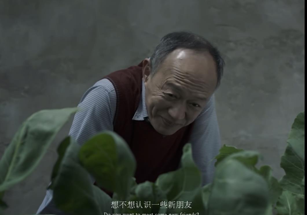 北大|北大发放首批录取通知书:从此不见父母老去,故乡再无春秋