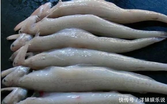 海鲜|海鲜大全, 你能认出多少