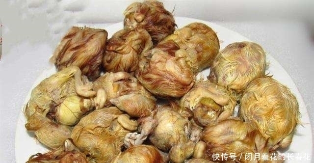 美食|5道最“残忍”的美食前两个能忍,最后一个忍不了