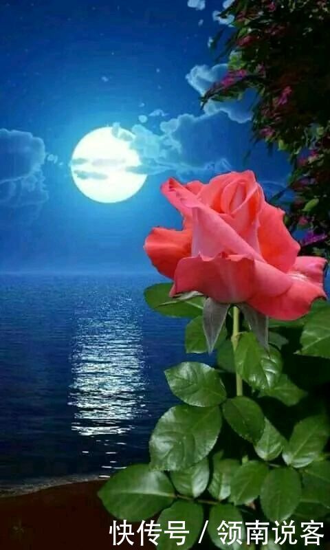 人生|人在最低谷时,也就是是人生的转折点