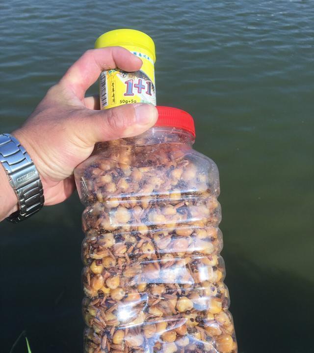 足以|竿梢常指水,足以慰风尘