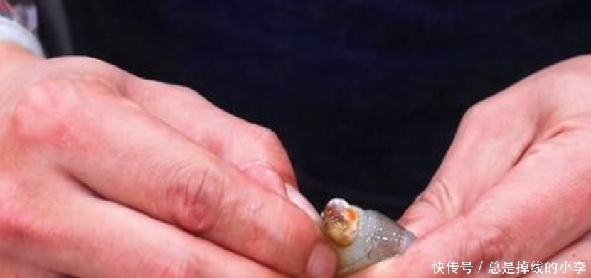 老法子|去虾线,别再用牙签这个老法子了!教你一招,分分钟剥完两斤虾!