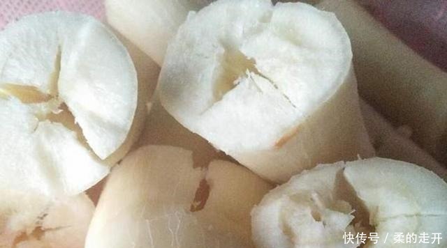 其法|木薯有毒吗有毒,食用一定要得其法