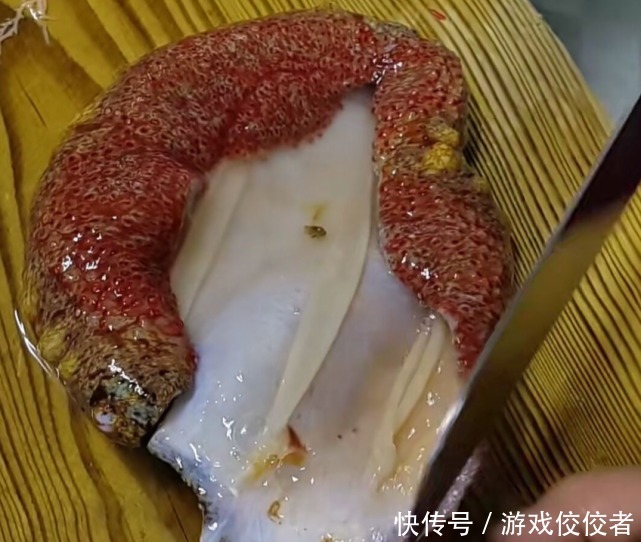 刺身|厨师料理两斤重的大海参,真怕一刀切下去,整个海参直接爆开了
