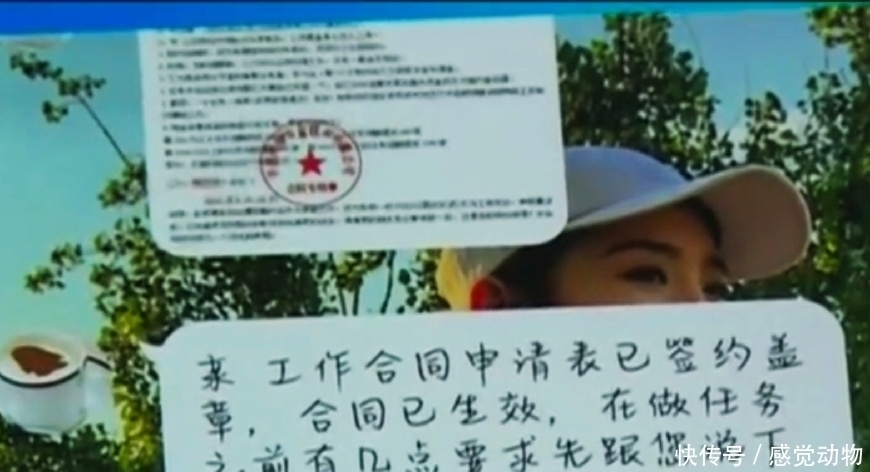 兼职|大学生做兼职，刷单刷了31000元，网友：老把戏了还上当！