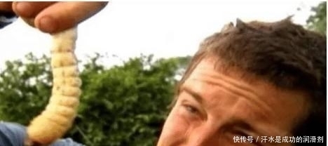 食物链|当初吃虫子嚼生肉,号称“食物链顶端”的男人贝爷,现在怎么样了