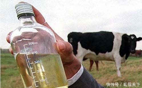 正常人|世界上最难喝的饮料:正常人听名字就反胃,当地人却奉为“圣水”